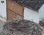 Capi_Dubne_20250823_073003.jpg