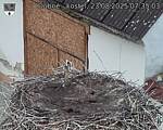 Capi_Dubne_20250823_073503.jpg