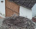 Capi_Dubne_20250823_074005.jpg