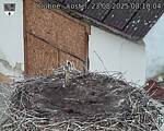Capi_Dubne_20250823_081004.jpg