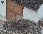 Capi_Dubne_20250823_082003.jpg