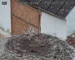 Capi_Dubne_20250823_083503.jpg