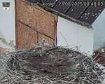 Capi_Dubne_20250823_084003.jpg