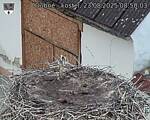 Capi_Dubne_20250823_085003.jpg