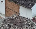 Capi_Dubne_20250823_085503.jpg