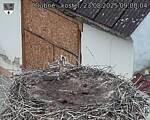 Capi_Dubne_20250823_090004.jpg