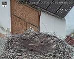 Capi_Dubne_20250823_090503.jpg