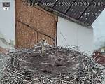 Capi_Dubne_20250823_091002.jpg