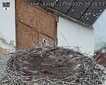 Capi_Dubne_20250823_092003.jpg