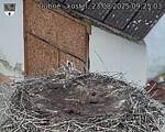 Capi_Dubne_20250823_092503.jpg