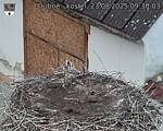 Capi_Dubne_20250823_093003.jpg