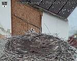 Capi_Dubne_20250823_093505.jpg