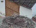 Capi_Dubne_20250823_094003.jpg