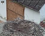 Capi_Dubne_20250823_094503.jpg