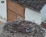 Capi_Dubne_20250823_100503.jpg
