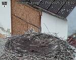 Capi_Dubne_20250823_101002.jpg