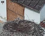 Capi_Dubne_20250823_103503.jpg