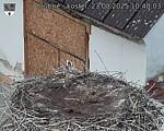 Capi_Dubne_20250823_104003.jpg