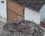 Capi_Dubne_20250823_110003.jpg
