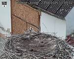 Capi_Dubne_20250823_110502.jpg