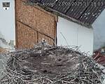 Capi_Dubne_20250823_111003.jpg