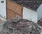 Capi_Dubne_20250823_112003.jpg