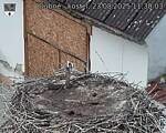 Capi_Dubne_20250823_113003.jpg