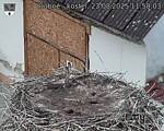 Capi_Dubne_20250823_115003.jpg