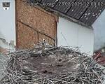 Capi_Dubne_20250823_120002.jpg
