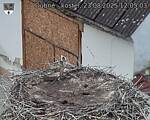 Capi_Dubne_20250823_120503.jpg