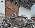 Capi_Dubne_20250823_121003.jpg