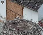 Capi_Dubne_20250823_121503.jpg