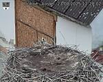 Capi_Dubne_20250823_122002.jpg