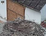Capi_Dubne_20250823_122503.jpg
