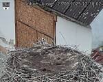 Capi_Dubne_20250823_123002.jpg