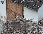 Capi_Dubne_20250823_124003.jpg