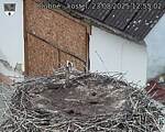 Capi_Dubne_20250823_125502.jpg