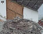 Capi_Dubne_20250823_131003.jpg