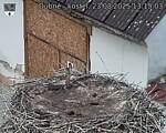 Capi_Dubne_20250823_131503.jpg