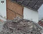 Capi_Dubne_20250823_132003.jpg