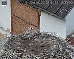 Capi_Dubne_20250823_133503.jpg