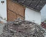 Capi_Dubne_20250823_134003.jpg