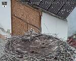 Capi_Dubne_20250823_140002.jpg