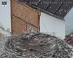 Capi_Dubne_20250823_141503.jpg