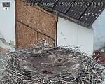 Capi_Dubne_20250823_143003.jpg