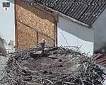 Capi_Dubne_20250823_144503.jpg