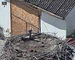 Capi_Dubne_20250823_145003.jpg