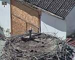 Capi_Dubne_20250823_150503.jpg