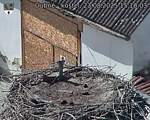 Capi_Dubne_20250823_151003.jpg