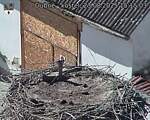 Capi_Dubne_20250823_151503.jpg